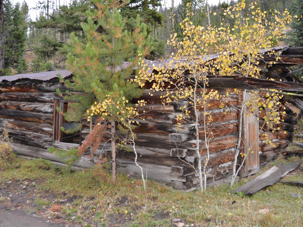 Miners log house